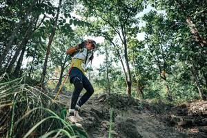 BIB: 
                            <button type="button" onclick="openModal(25762844)" class="btn btn-primary btn-sm float-right btn-popup" data-toggle="modal" data-target=".modal-high-quality">
                        <i class="fas fa-shopping-cart"></i> Add to Cart
                    </button>
                                            <button type="button" onclick="isThisMe(25762844, true)" class="btn btn-success btn-sm float-right btn-popup btn-isme hidden" data-toggle="tooltip" data-placement="bottom" title="นี่คือรูปของคุณใช่ไหม คลิกที่นี่เพื่อเอาเข้าอัลบั้ม">
                        <i class="fas fa-plus"></i> Add to album
                    </button>
                    <button type="button" onclick="isThisMe(25762844, false)" class="btn btn-warning btn-sm float-right btn-popup btn-isnotme hidden">
                        <i class="fas fa-ban"></i> Remove from album
                    </button>